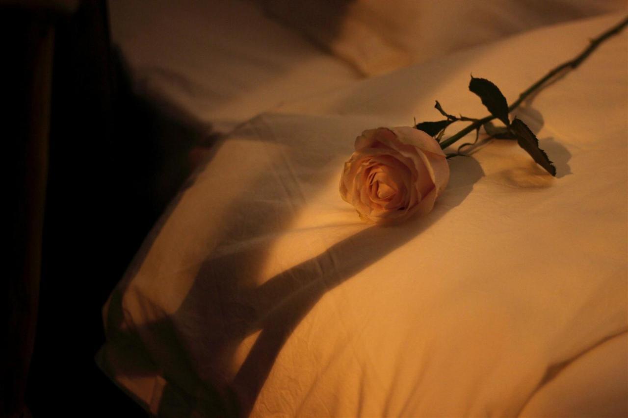 צ'נגדו Moonlight Hotel מראה חיצוני תמונה